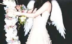 t8.gs男人的最爱